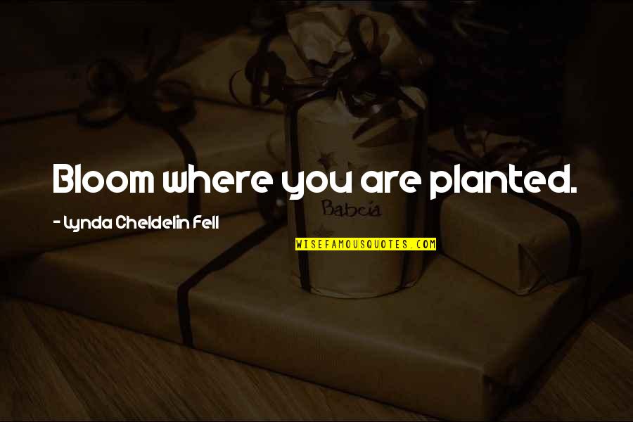 Oing Quotes By Lynda Cheldelin Fell: Bloom where you are planted.