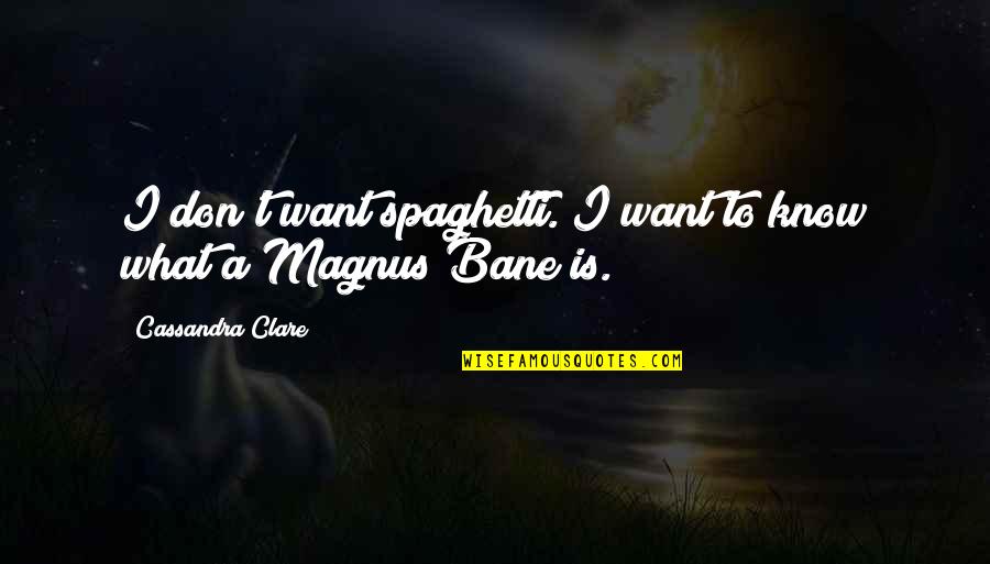 Oireachtas Quotes By Cassandra Clare: I don't want spaghetti. I want to know
