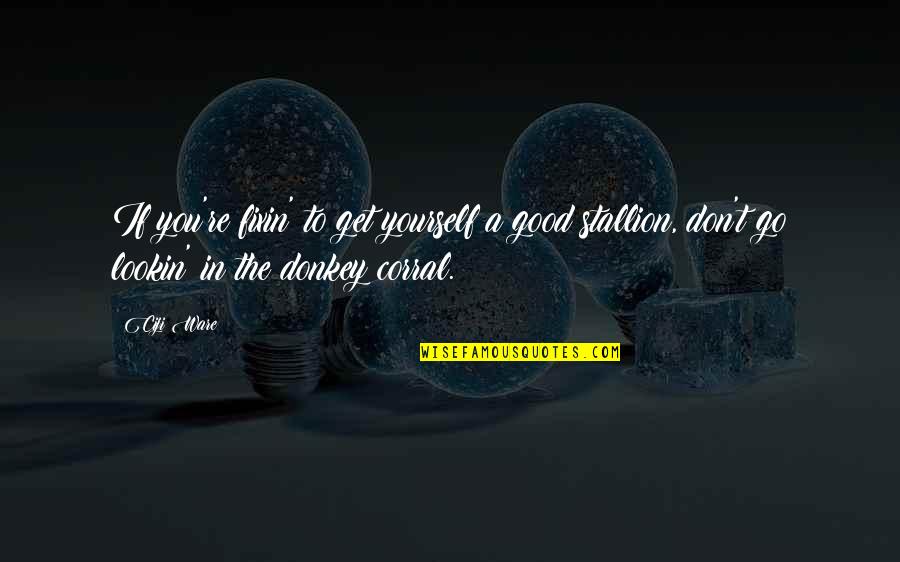 Ok Corral Quotes By Ciji Ware: If you're fixin' to get yourself a good Ok Corral Quotes By Ciji Ware: If you're fixin' to get yourself a good