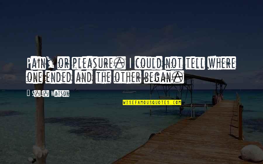 Okaayy Quotes By S.J. Watson: Pain, or pleasure. I could not tell where