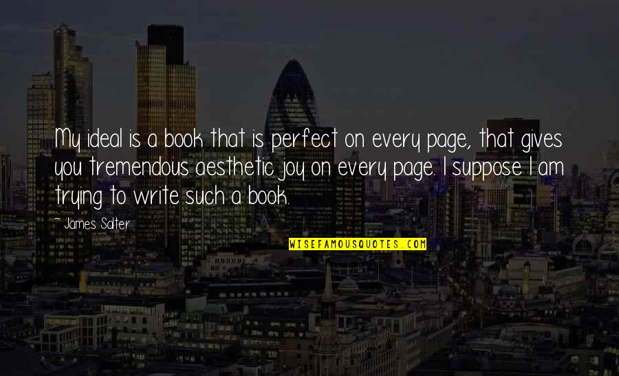 Okabe Funny Quotes By James Salter: My ideal is a book that is perfect Okabe Funny Quotes By James Salter: My ideal is a book that is perfect