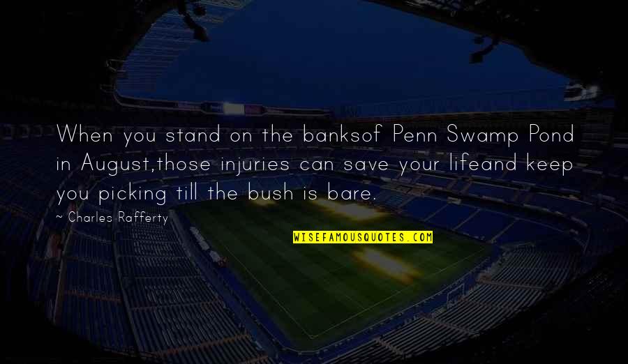 Okama Gamesphere Quotes By Charles Rafferty: When you stand on the banksof Penn Swamp Okama Gamesphere Quotes By Charles Rafferty: When you stand on the banksof Penn Swamp