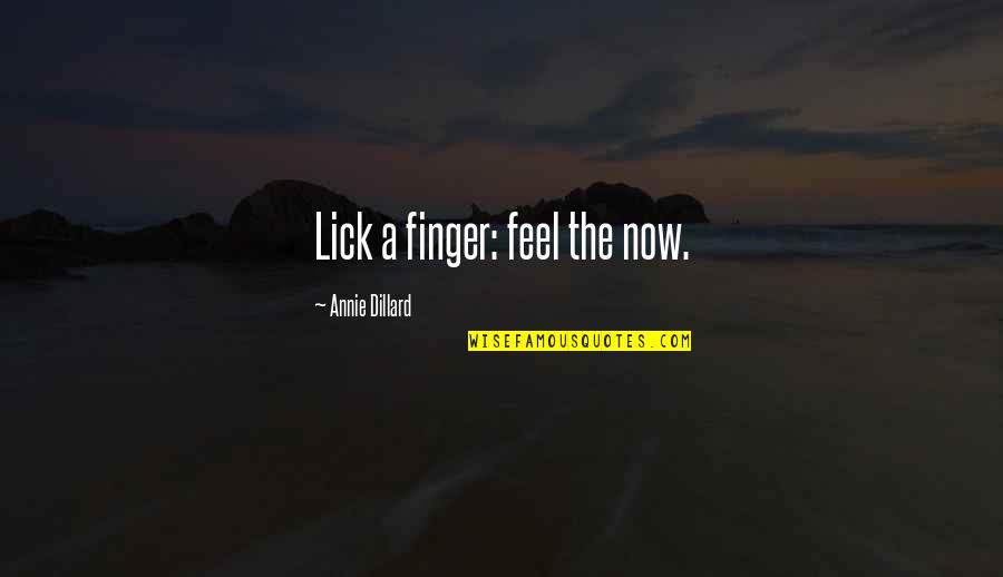 Okawa Bend Quotes By Annie Dillard: Lick a finger: feel the now.