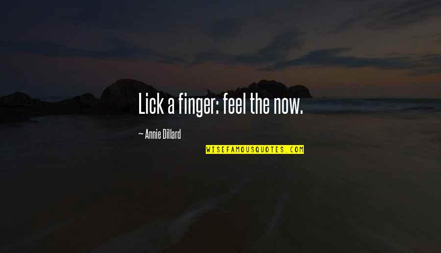 Okawa Bend Quotes By Annie Dillard: Lick a finger: feel the now. Okawa Bend Quotes By Annie Dillard: Lick a finger: feel the now.