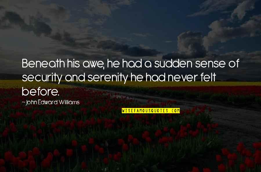 Okazuri Quotes By John Edward Williams: Beneath his awe, he had a sudden sense