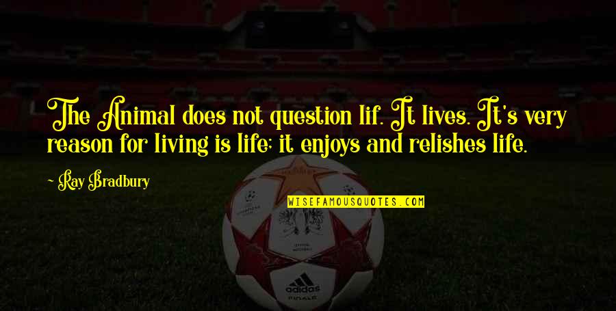 Okenice Quotes By Ray Bradbury: The Animal does not question lif. It lives. Okenice Quotes By Ray Bradbury: The Animal does not question lif. It lives.
