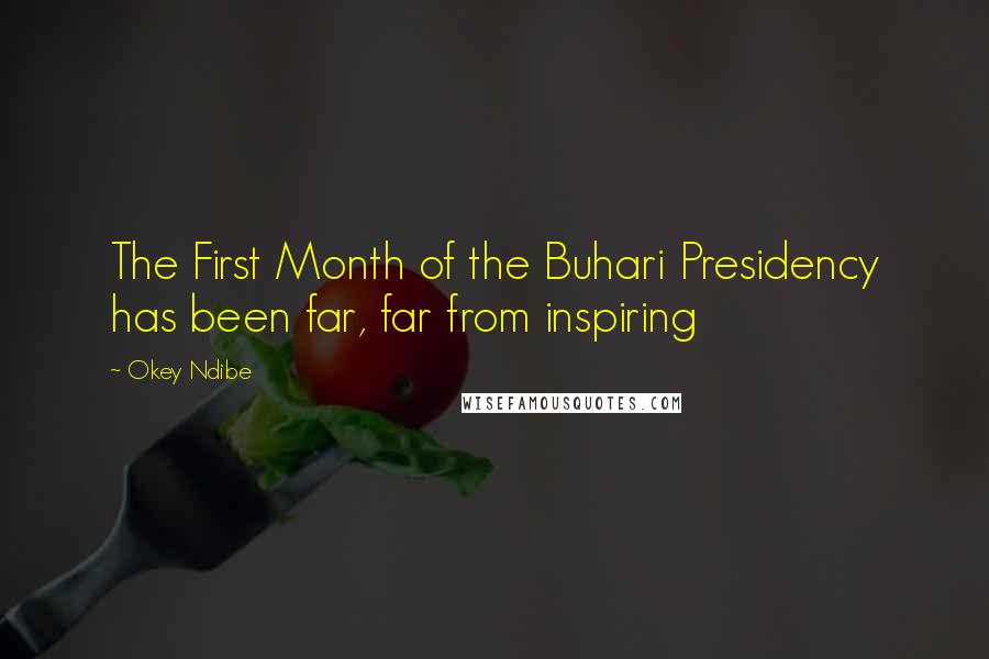Okey Ndibe quotes: The First Month of the Buhari Presidency has been far, far from inspiring