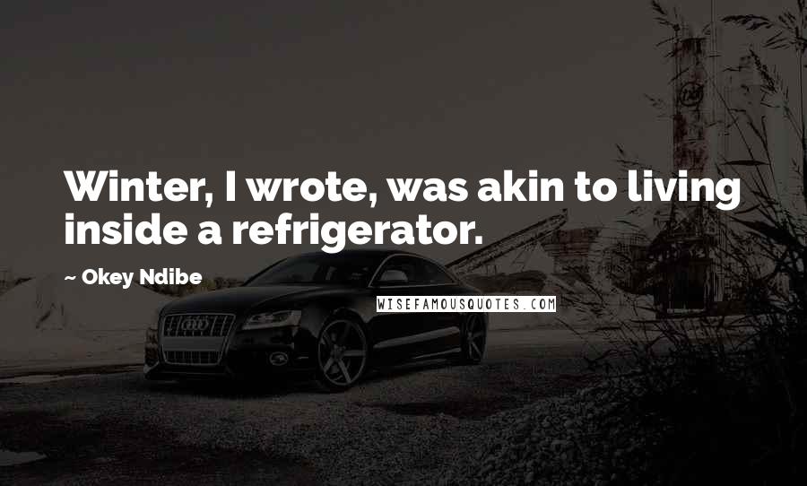 Okey Ndibe quotes: Winter, I wrote, was akin to living inside a refrigerator.