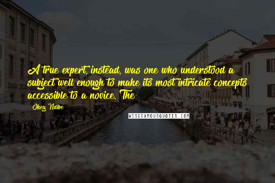 Okey Ndibe quotes: A true expert, instead, was one who understood a subject well enough to make its most intricate concepts accessible to a novice. The