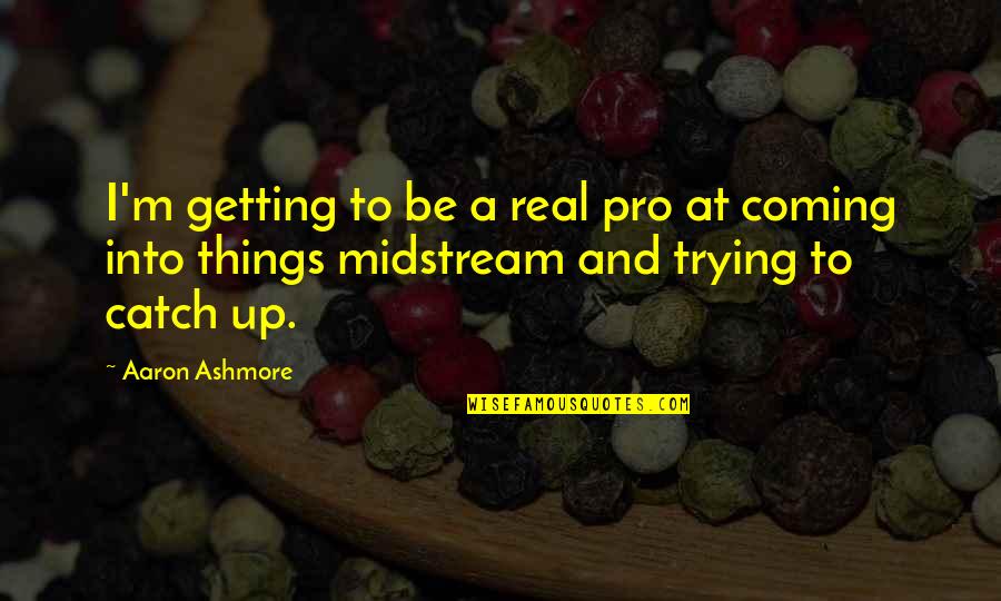 Okies Quotes By Aaron Ashmore: I'm getting to be a real pro at