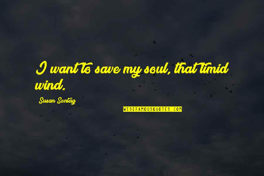 Okkervil River Quotes By Susan Sontag: I want to save my soul, that timid