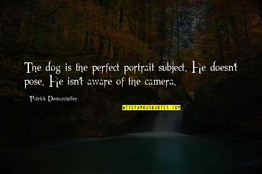 Oklahoma Bombing Quotes By Patrick Demarchelier: The dog is the perfect portrait subject. He