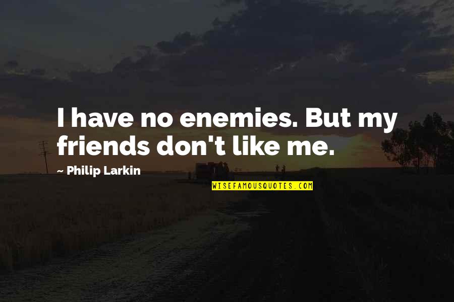 Okolie Bazenu Quotes By Philip Larkin: I have no enemies. But my friends don't