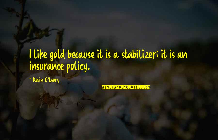 Okolloh Speed Quotes By Kevin O'Leary: I like gold because it is a stabilizer;