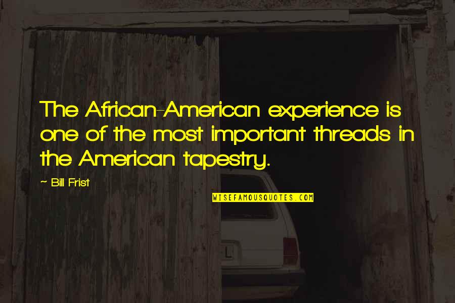 Oksana Shachko Quotes By Bill Frist: The African-American experience is one of the most