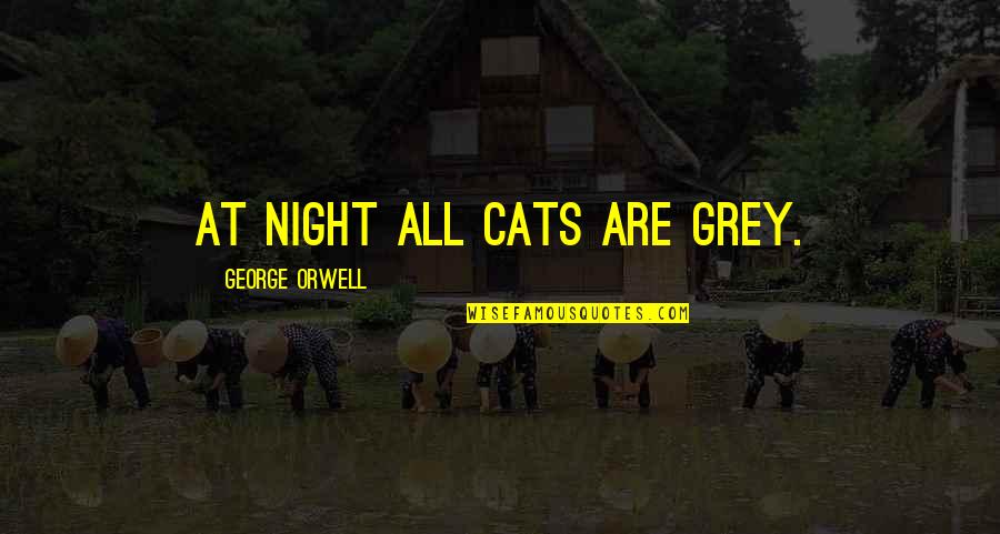 Okullarda Sinav Quotes By George Orwell: At night all cats are grey.