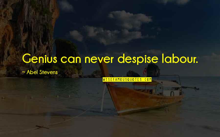 Olaer Bladder Quotes By Abel Stevens: Genius can never despise labour.