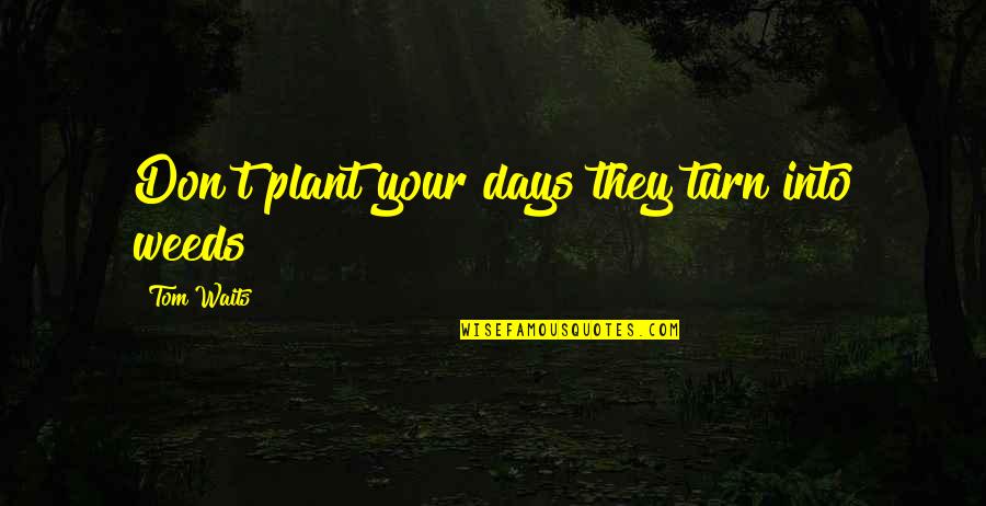 Olafsfjordur Quotes By Tom Waits: Don't plant your days they turn into weeds Olafsfjordur Quotes By Tom Waits: Don't plant your days they turn into weeds