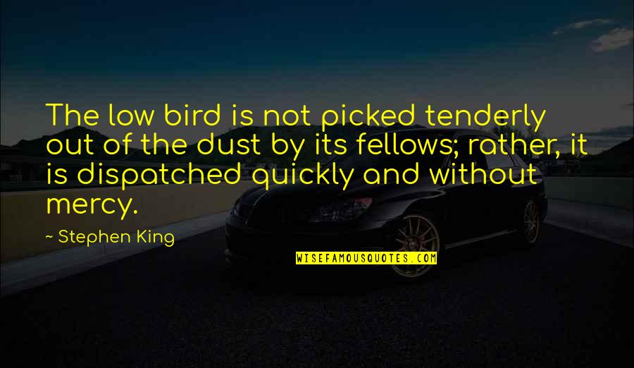 Olahraga Quotes By Stephen King: The low bird is not picked tenderly out