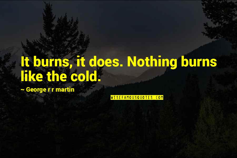 Olaleye Popoola Quotes By George R R Martin: It burns, it does. Nothing burns like the Olaleye Popoola Quotes By George R R Martin: It burns, it does. Nothing burns like the