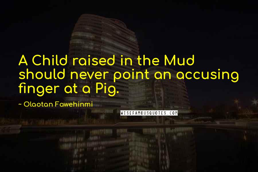 Olaotan Fawehinmi quotes: A Child raised in the Mud should never point an accusing finger at a Pig.
