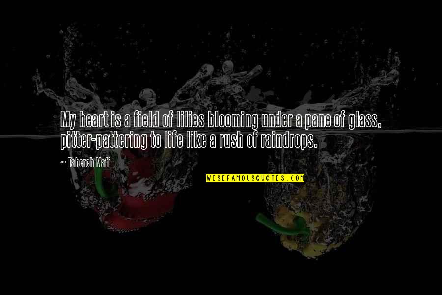 Olasunkanmi Omobolanle Quotes By Tahereh Mafi: My heart is a field of lilies blooming Olasunkanmi Omobolanle Quotes By Tahereh Mafi: My heart is a field of lilies blooming