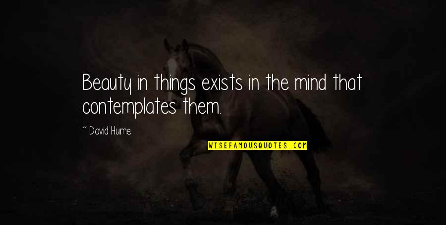Olazabal Telas Quotes By David Hume: Beauty in things exists in the mind that