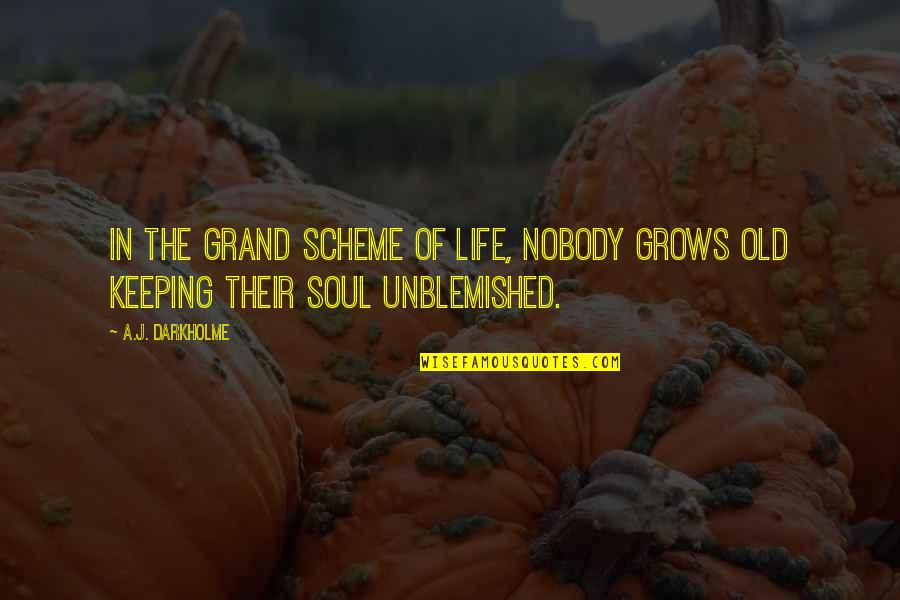 Old Age Life Quotes By A.J. Darkholme: In the grand scheme of life, nobody grows
