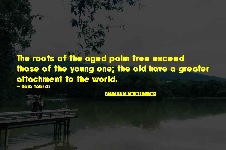Old Aged Quotes By Saib Tabrizi: The roots of the aged palm tree exceed