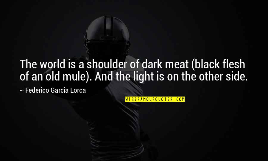 Old Black Quotes By Federico Garcia Lorca: The world is a shoulder of dark meat