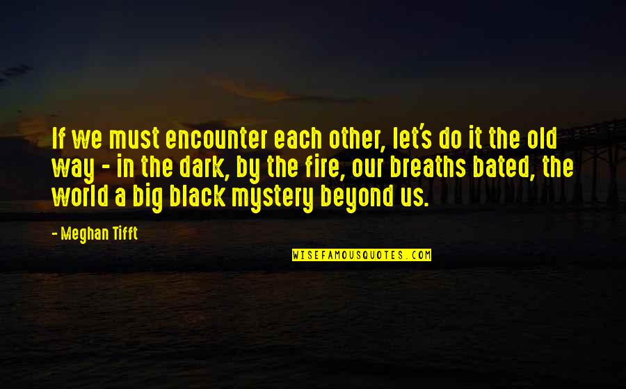 Old Black Quotes By Meghan Tifft: If we must encounter each other, let's do