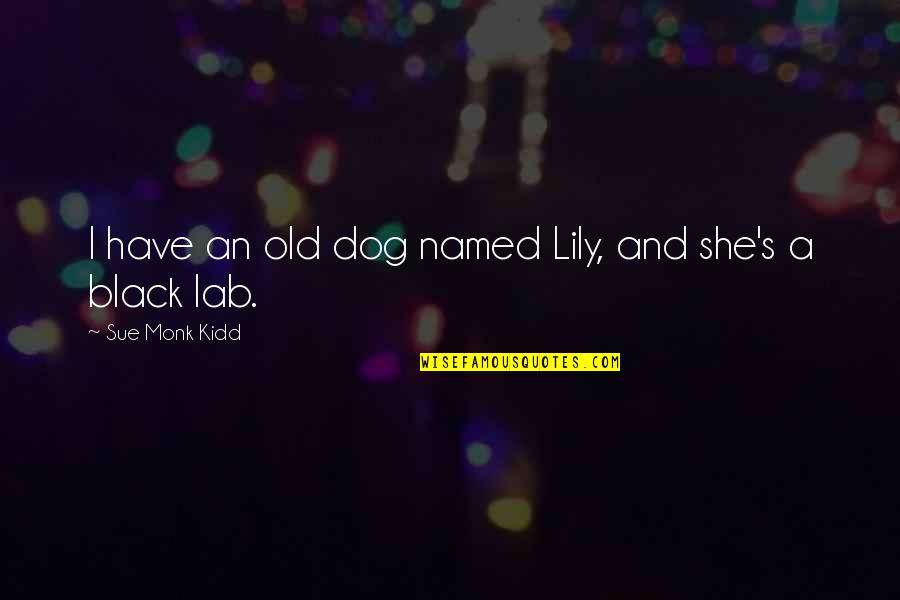 Old Black Quotes By Sue Monk Kidd: I have an old dog named Lily, and