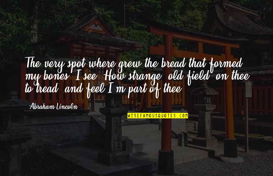 Old Bones Quotes By Abraham Lincoln: The very spot where grew the bread that Old Bones Quotes By Abraham Lincoln: The very spot where grew the bread that