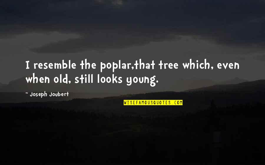 Old But Still Young Quotes By Joseph Joubert: I resemble the poplar,that tree which, even when