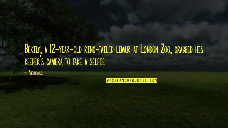 Old Camera Quotes By Anonymous: Bekily, a 12-year-old ring-tailed lemur at London Zoo,