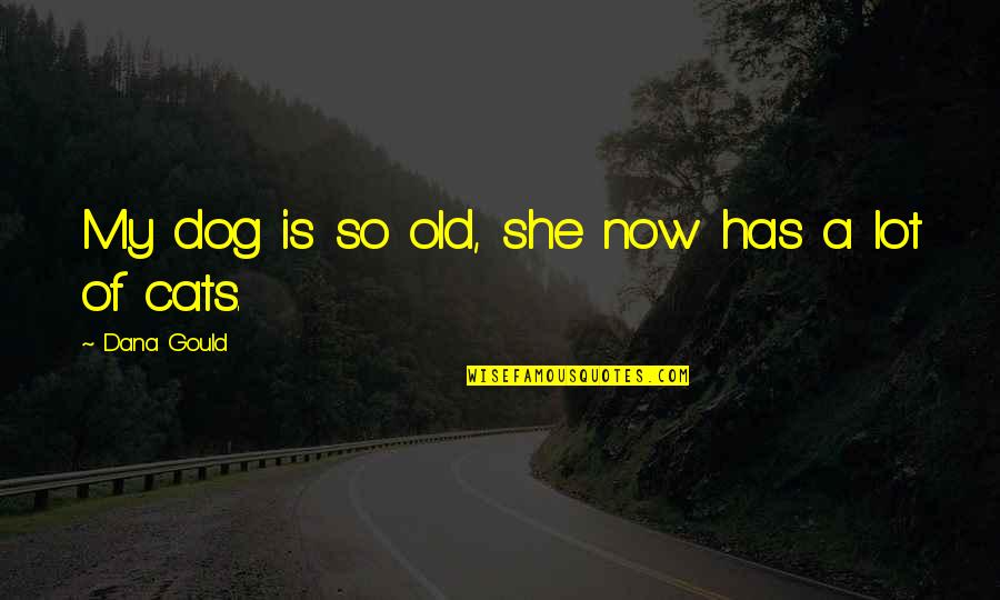 Old Dog Quotes By Dana Gould: My dog is so old, she now has