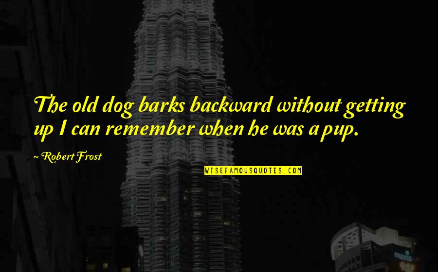 Old Dog Quotes By Robert Frost: The old dog barks backward without getting up