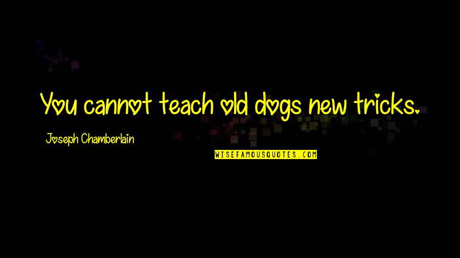 Old Dogs New Tricks Quotes By Joseph Chamberlain: You cannot teach old dogs new tricks.