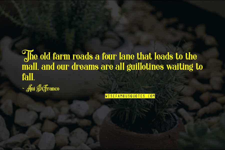 Old Dreams Quotes By Ani DiFranco: The old farm roads a four lane that Old Dreams Quotes By Ani DiFranco: The old farm roads a four lane that