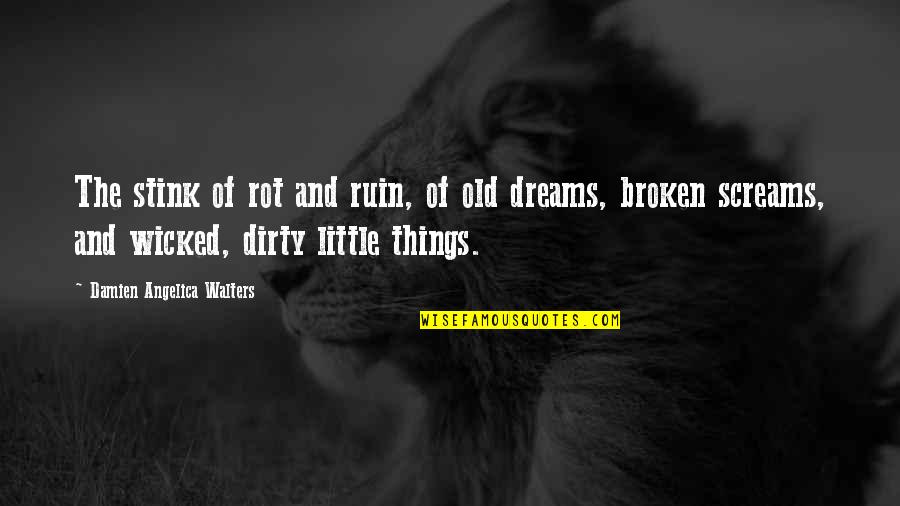 Old Dreams Quotes By Damien Angelica Walters: The stink of rot and ruin, of old