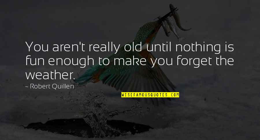 Old Enough To Quotes By Robert Quillen: You aren't really old until nothing is fun