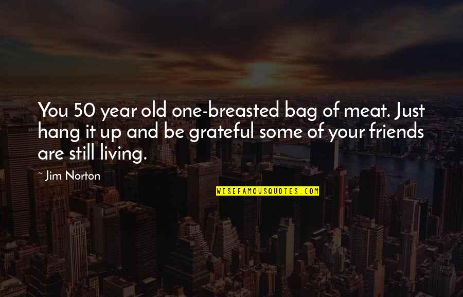 Old Friends Are Quotes By Jim Norton: You 50 year old one-breasted bag of meat.