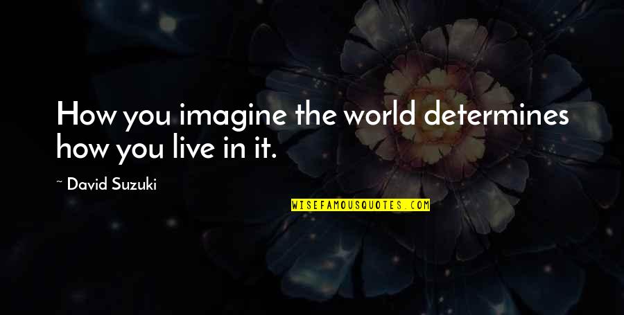 Old Gentleman Quotes By David Suzuki: How you imagine the world determines how you Old Gentleman Quotes By David Suzuki: How you imagine the world determines how you