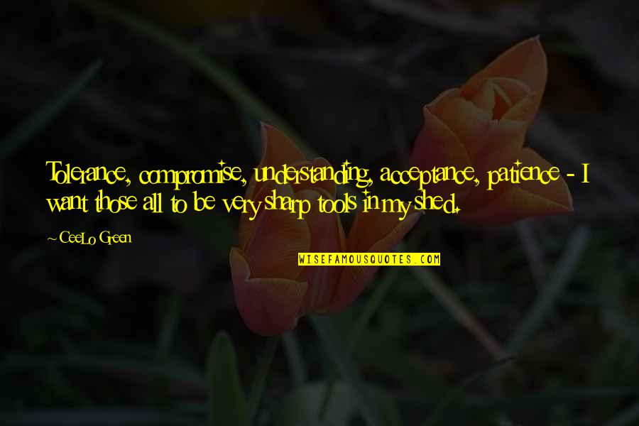 Old Graveyard Quotes By CeeLo Green: Tolerance, compromise, understanding, acceptance, patience - I want Old Graveyard Quotes By CeeLo Green: Tolerance, compromise, understanding, acceptance, patience - I want