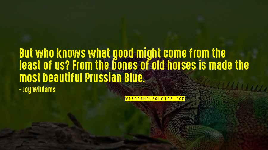 Old Is Good Quotes By Joy Williams: But who knows what good might come from