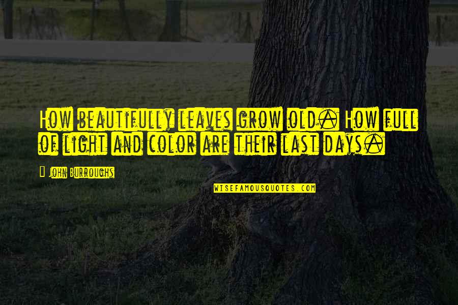 Old John Quotes By John Burroughs: How beautifully leaves grow old. How full of