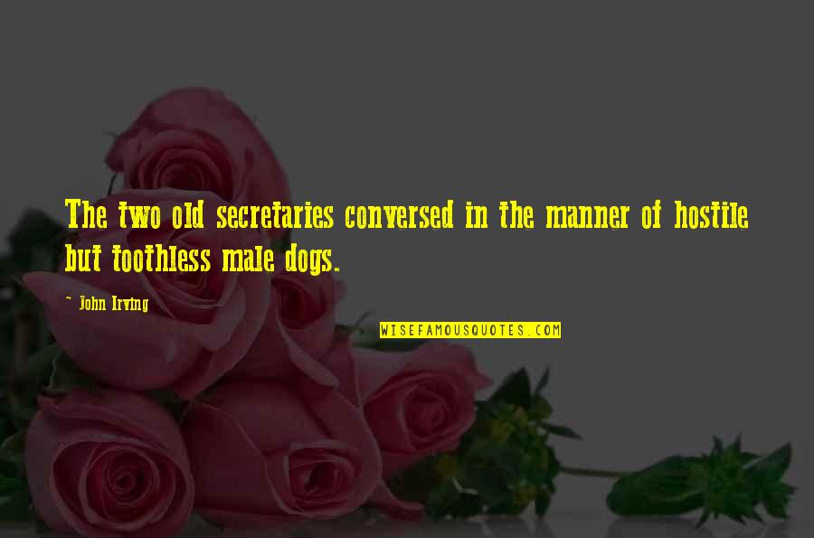 Old John Quotes By John Irving: The two old secretaries conversed in the manner