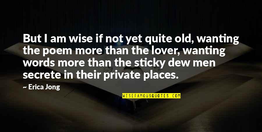 Old Lover Quotes By Erica Jong: But I am wise if not yet quite