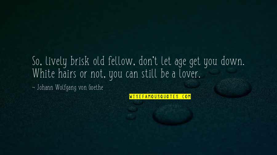 Old Lover Quotes By Johann Wolfgang Von Goethe: So, lively brisk old fellow, don't let age