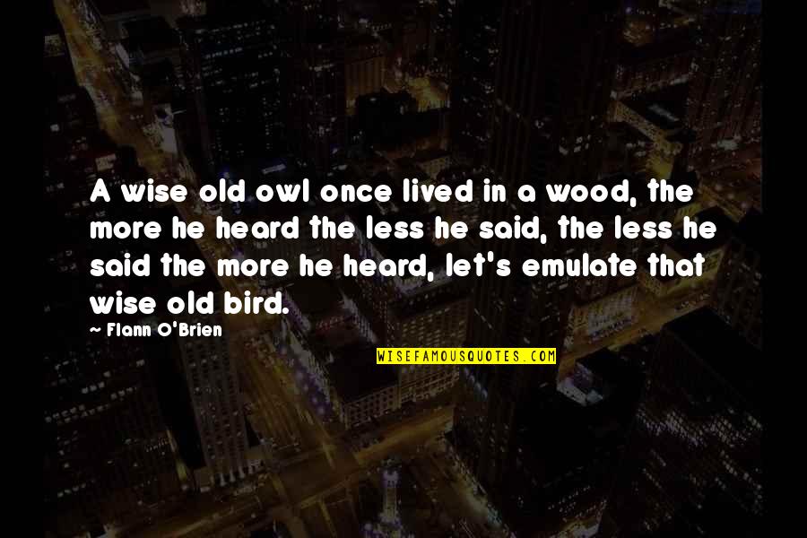 Old Owl Quotes By Flann O'Brien: A wise old owl once lived in a